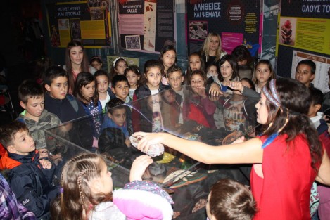 Chocolate-Factory-and-Museum