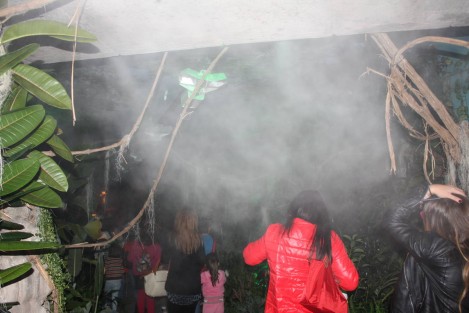 Chocolate-Factory-and-Museum