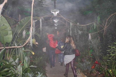 Chocolate-Factory-and-Museum