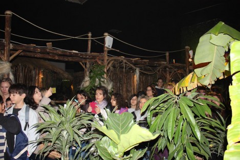 Chocolate-Factory-and-Museum